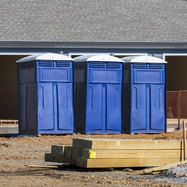 are there different sizes of porta potties available for rent in Bradenville